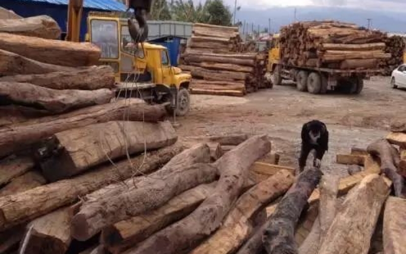 缅甸花梨凭什么，价钱一起上涨....